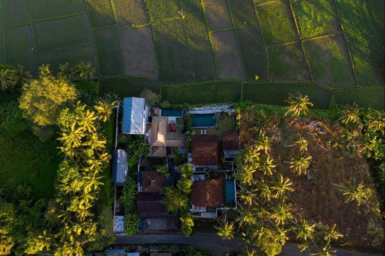Villa O'Hea Ubud Extérieur photo